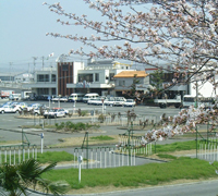 備南自動車学校