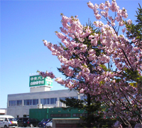 中央バス自動車学校