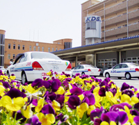 共立自動車学校 日野校
